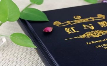 《红与黑》读后感推荐7篇