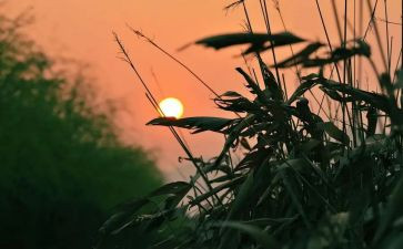 写怀念老师的作文最新7篇