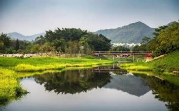 关于环境问题调查报告7篇