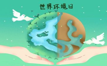 六五环境日活动总结8篇