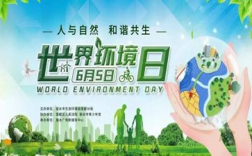 2024年6.5环境日活动总结模板8篇