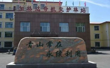 护林站工作总结最新6篇