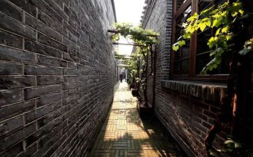 胡同文化的教案5篇