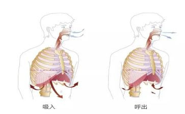 2024年呼吸科护士述职报告7篇