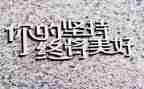 成在坚持的演讲稿参考6篇