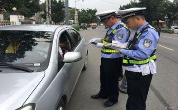 交警心得体会范文7篇