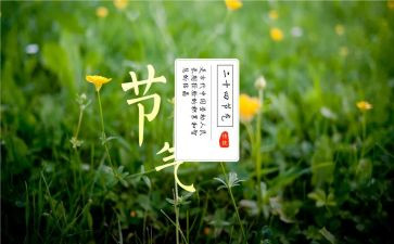 二十四节气活动方案6篇