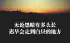 狼的团队精神的心得体会精选7篇