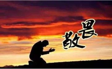 敬畏自然生命作文6篇
