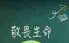 敬畏自然作文模板5篇