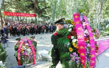 陵园祭扫活动方案6篇