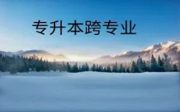 跨专业简历模板最新5篇