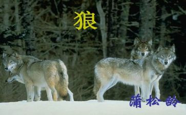七年级语文《狼》教案参考7篇