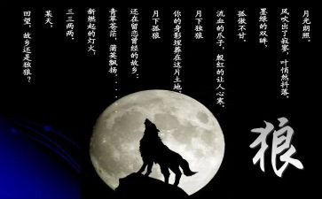 l狼王梦的读后感精选6篇