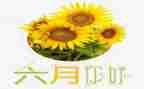 六月安全生产月总结7篇