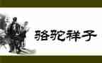 骆驼祥子卖骆驼心得体会参考7篇