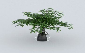 绿色环保心得体会7篇