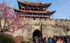 2024年旅游业个人总结6篇