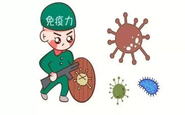 免疫工作计划精选6篇