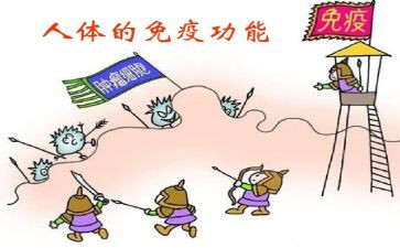 2024免疫规划工作总结8篇