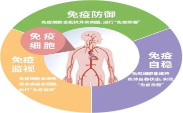 免疫工作计划5篇