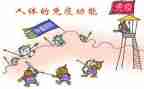 2024免疫规划工作总结8篇