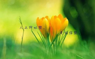 名人的作文通用7篇