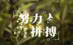 名人传的心得体会800字5篇