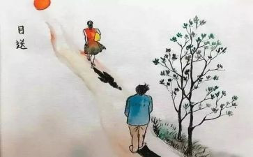 《目送》的读后感500字5篇