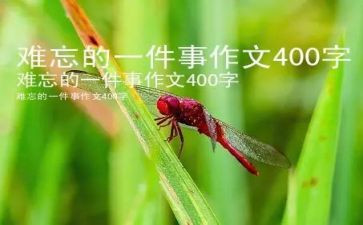 你让我难忘的一件事作文5篇