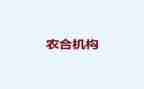 农合行述职报告通用5篇