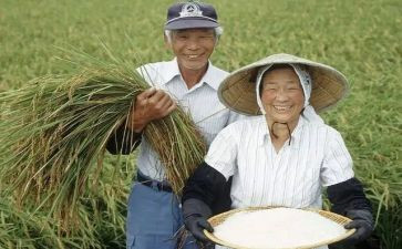 农民调研报告5篇