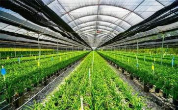 农业课心得体会7篇