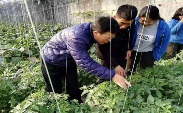 助理农艺师个人总结5篇