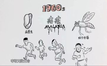 疟疾工作计划6篇
