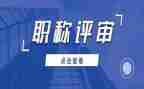 评审中一述职报告推荐5篇