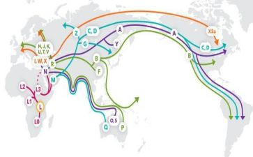 分户口迁移申请书5篇