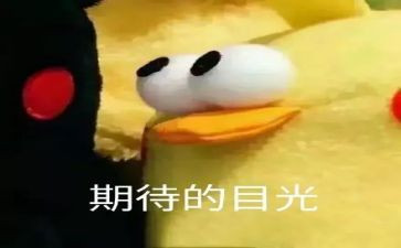 我期待——作文模板5篇