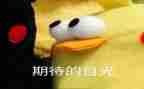 我期待——作文模板5篇