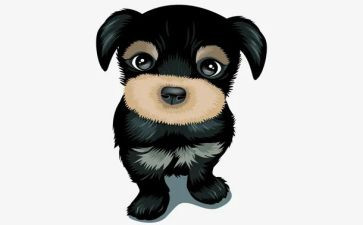 犬只管理调研报告6篇