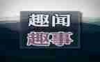 旅游趣事作文5篇