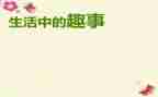 暑假作文趣事400字5篇