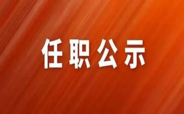 2024个人任职述职报告范文5篇