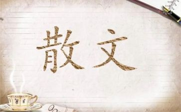 散文《匆匆》读后感精选5篇