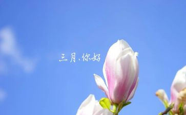 大大班三月份工作总结5篇