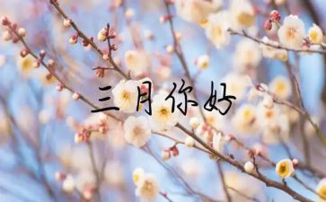 三月总结报告7篇