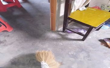 小学生大扫除作文8篇