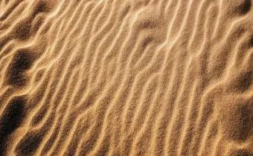 沙的科学教案7篇