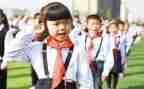 少先队对委申请书7篇