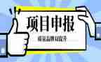 申报小一述职报告5篇